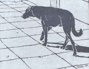 Dog 